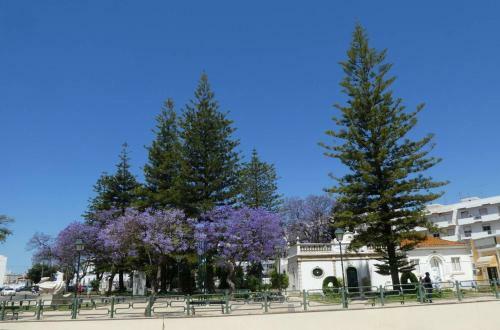 Apartamento Elenice