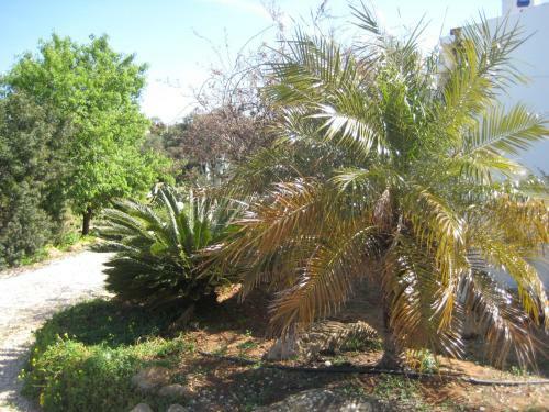 Apartamento Quinta La Paz