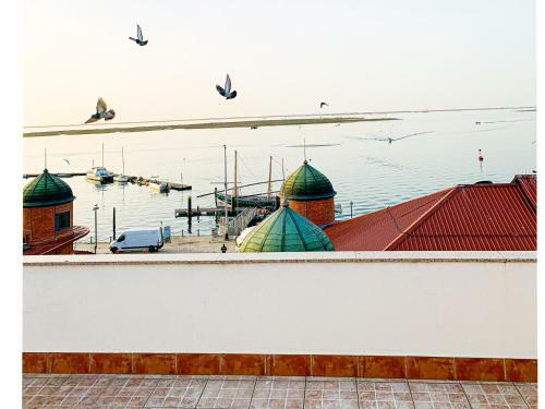 Rooftop Olh�o-algarve Apartamento Com Terra�o Vista Mar