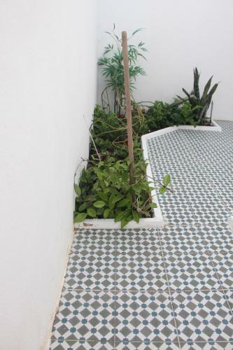 Casa Ibaia - Olh�o Algarve