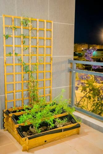 Apartamento Naturally Formosa