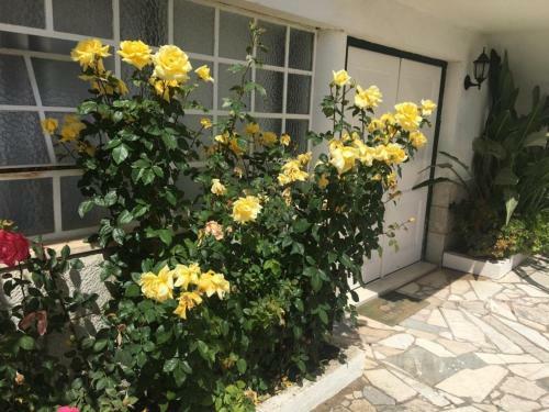 2 Bedroom Apartment House - Sol Do Murtal