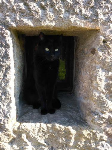 Quinta Da Chanca