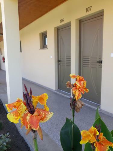 Hotel Pens�o Repouso Do Peregrino