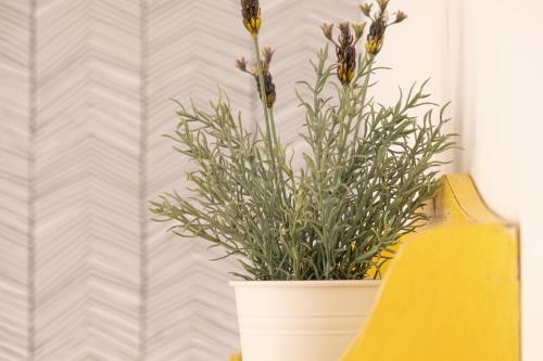 Feel Nazar� - Boutique Apartments