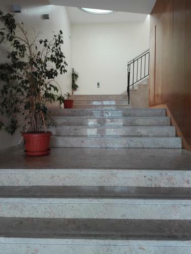 Apartamento Casa No Sitio