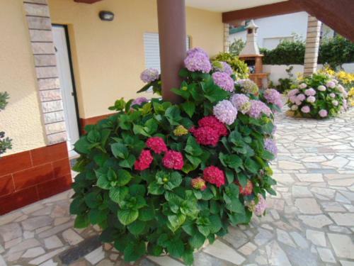 Apartamento Vivenda Barroso