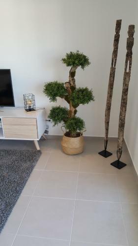 Apartamento Casa Steven