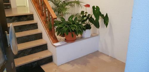 Apartamento Camy House