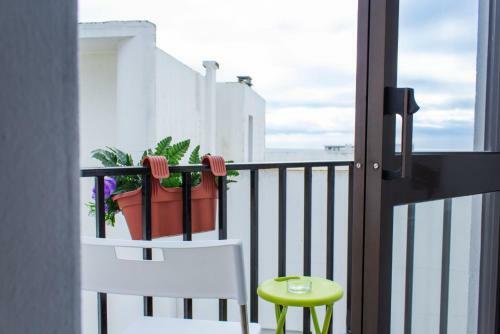 Hostal Paz & Amor Guest House - Peace & Love
