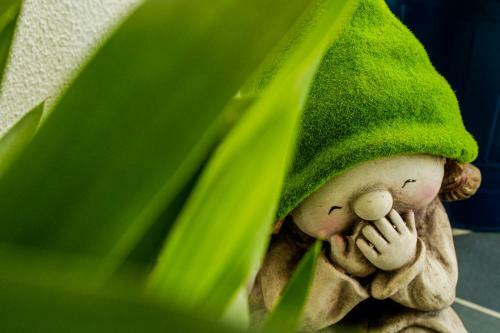 Hostal Paz & Amor Guest House - Peace & Love
