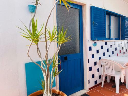 Apartamento Vila Fidalgo