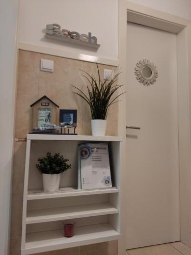 Casa S�o Gi�o - Especially For You !