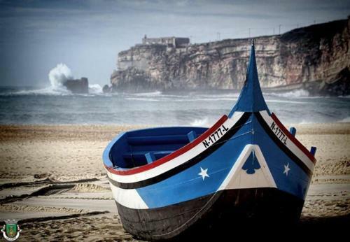 Apartamento Altido Nazare 3-br Flat With Terrace And Rooftop Pool