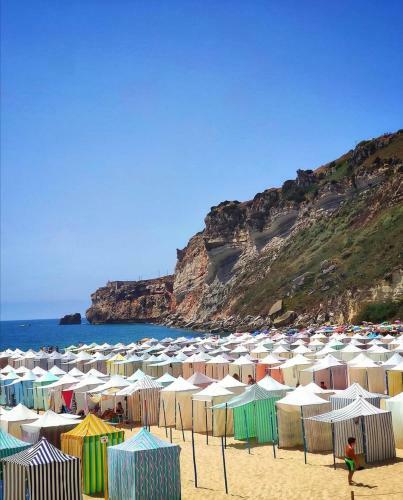 Apartamento Alojamento Madeira