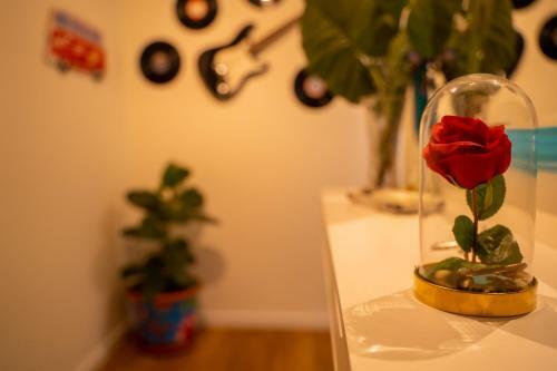 Apartamento Paz & Amor Flat Nazar� - Peace & Love