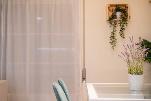 Apartamento Paz & Amor Flat Nazar� - Peace & Love