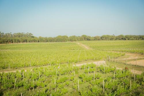 Agroturismo Monte Do Lago, Peg�es