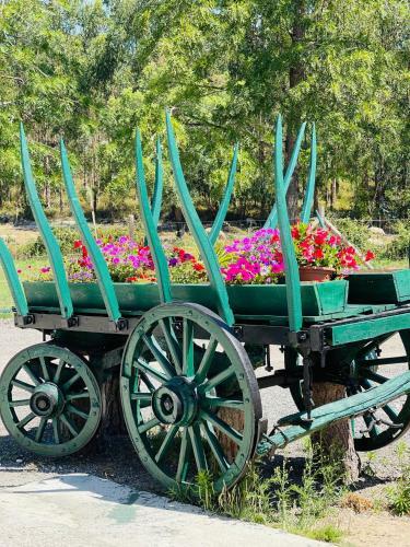 Agroturismo Monte Do Lago, Peg�es