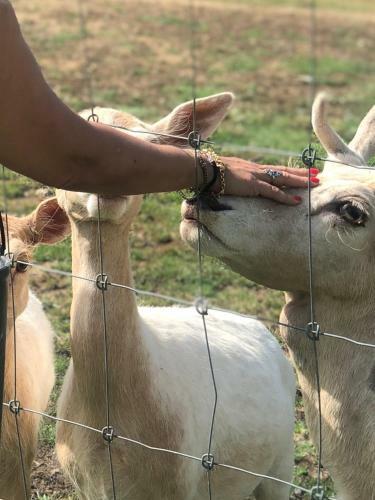 Agroturismo Monte Do Lago, Peg�es