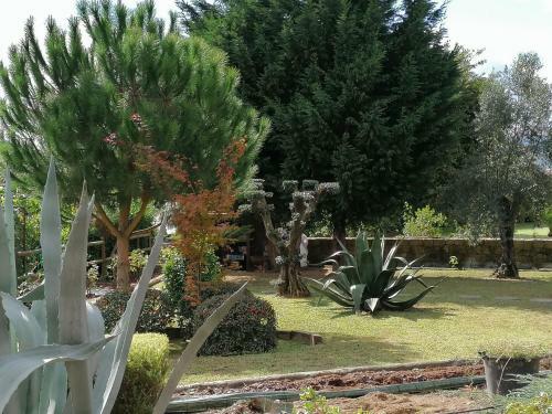 Villa Campo De Sobarbo - Guest House Rural