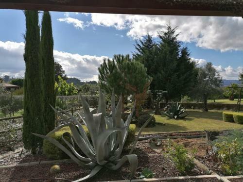 Villa Campo De Sobarbo - Guest House Rural