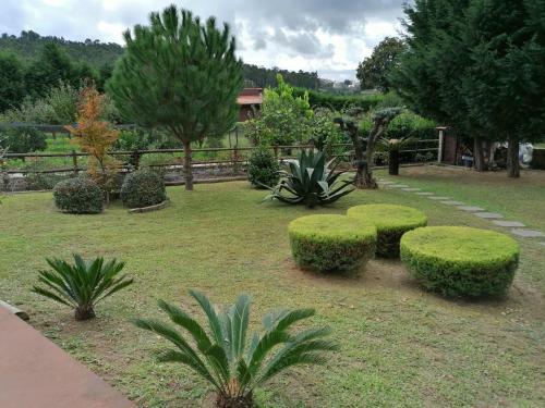 Villa Campo De Sobarbo - Guest House Rural
