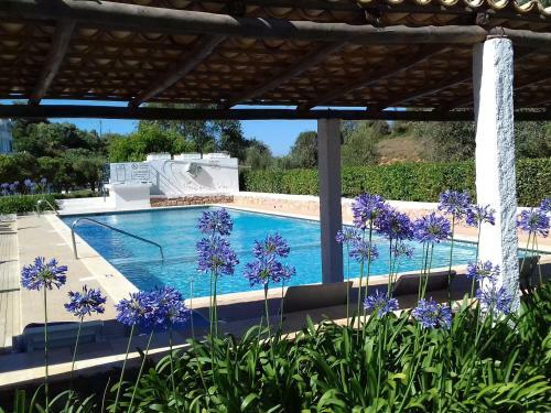 Casa Pura Vida - Fantastic Sea View