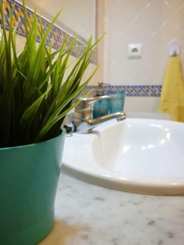 Apartamento Peniche Art House
