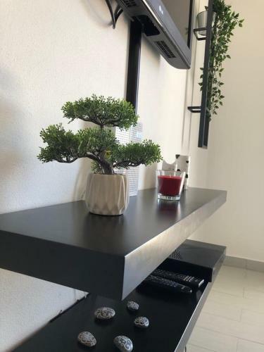 Apartamento P� N'areia G�mboa Beach T1