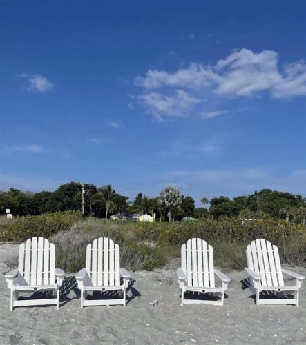 Beachfront Bliss