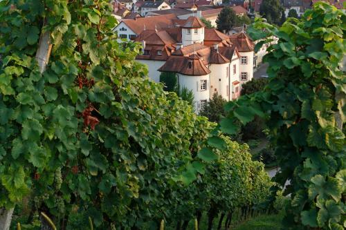 Hotel R�ttele's Restaurant & Residenz