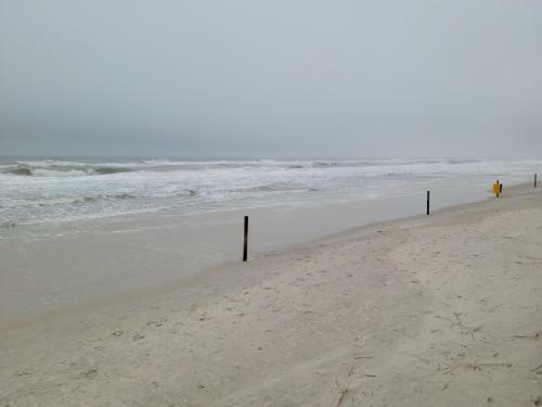 Apartamento Daytona Beach Resort #1219