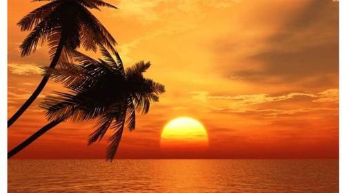 Apartamento Holiday Villas III #311