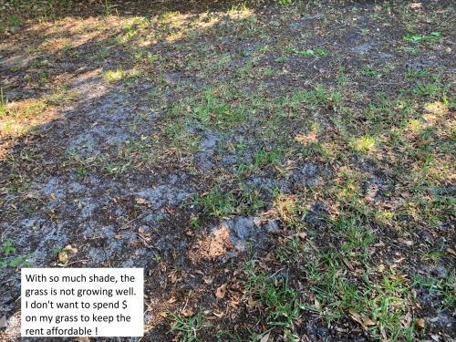 House 3br 1-bath, 8-min From Indian Rocks Beach, Nice Park Thru Back Gate