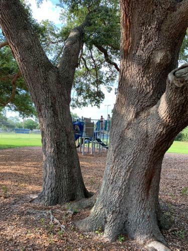 House 3br 1-bath, 8-min From Indian Rocks Beach, Nice Park Thru Back Gate