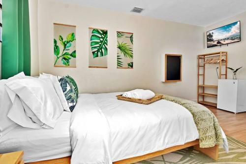 Tropical Studio In Hollywood Florida