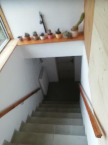 Apartamento Chata Suchdol