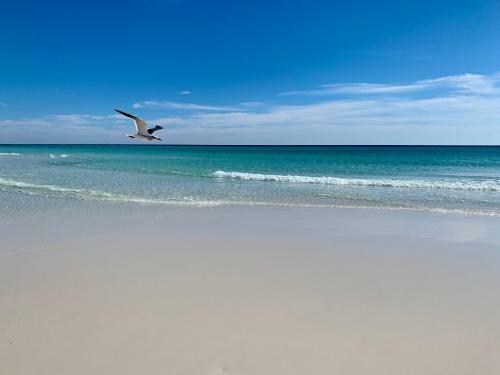Apartamento Blessed In Destin Waterview Condo 302