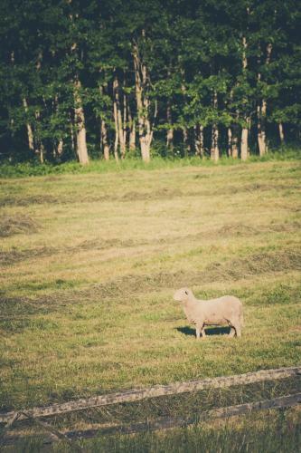 Agroturismo Chalupa Otava