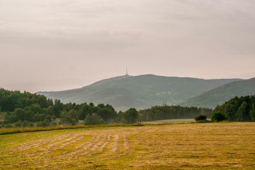 Lodge Treehouse Pod Jestedem