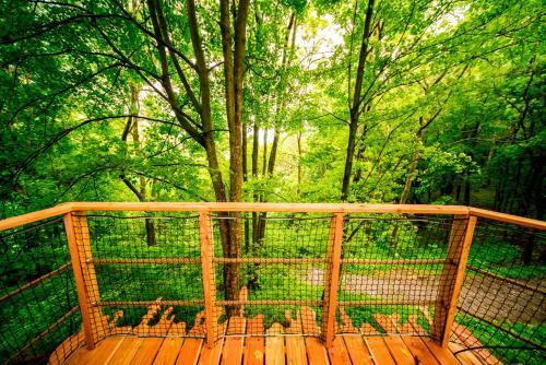 Lodge Treehouse Pod Jestedem