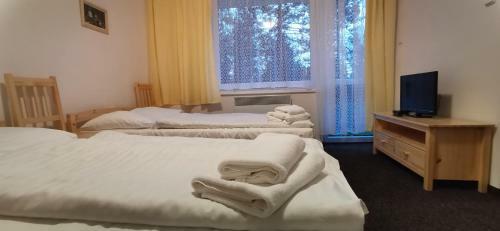 Hotel Svratka