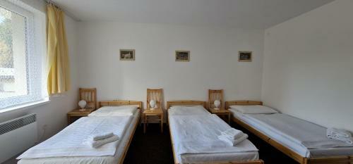 Hotel Svratka