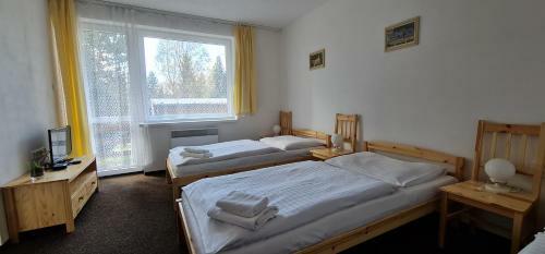 Hotel Svratka