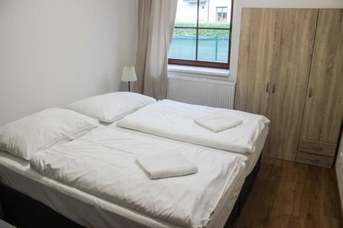 Apartm�n Svoboda Nad �pou