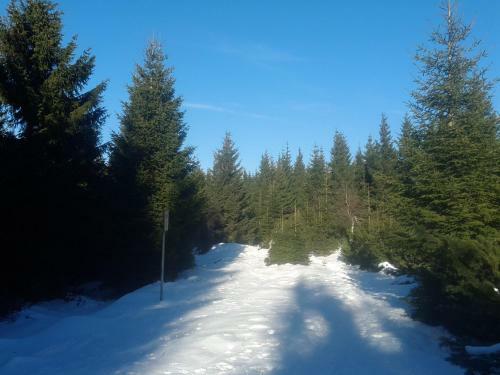 Ubytov�n� - ?ern� Hora II