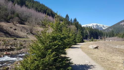 Ubytov�n� V Soukrom� - Apartm�n Meran