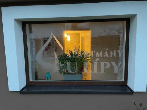 Apartm�ny U L�py