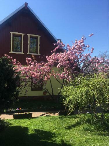 Haus Spreewaldimkerei
